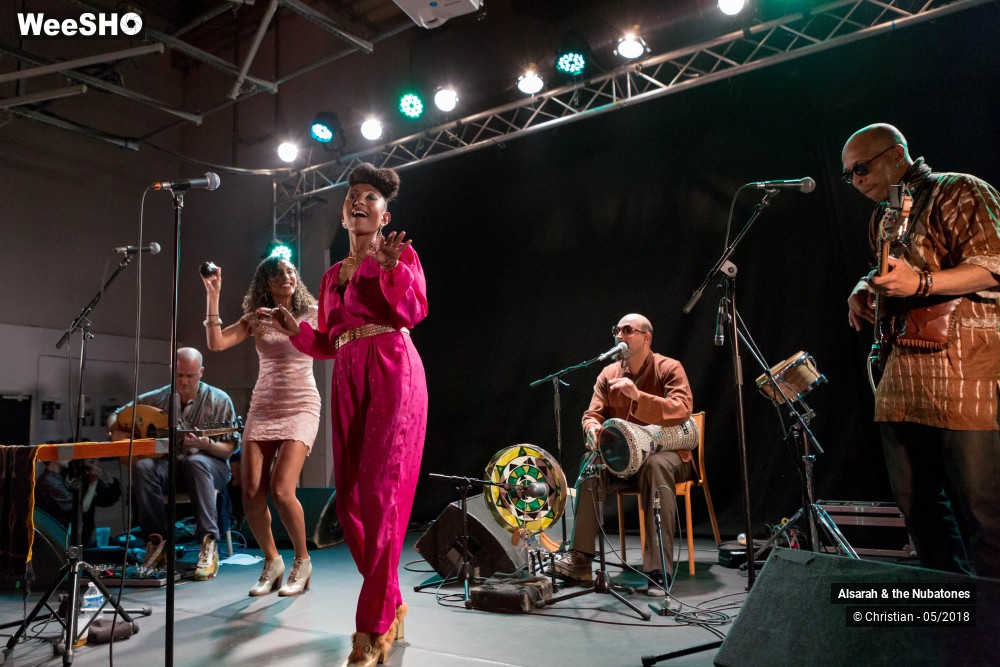23/28 photos du spectacle Alsarah and the Nubatones
