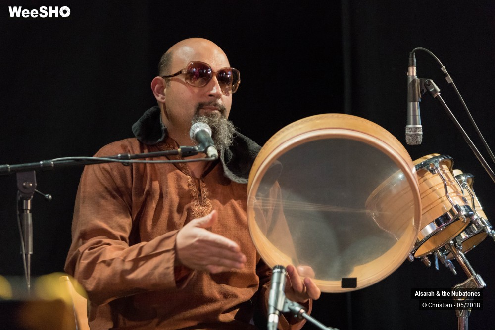24/28 photos du spectacle Alsarah and the Nubatones