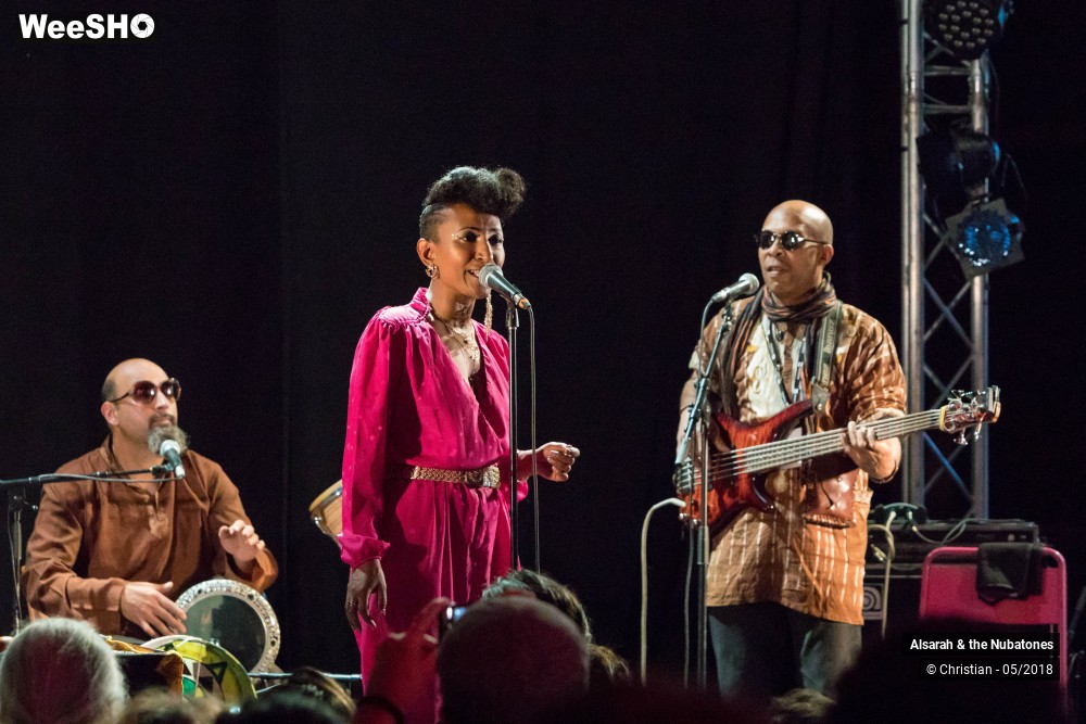 25/28 photos du spectacle Alsarah and the Nubatones