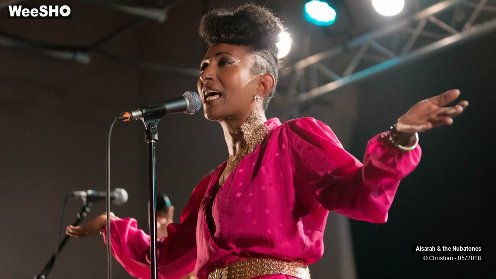 28/28 photos du spectacle Alsarah and the Nubatones