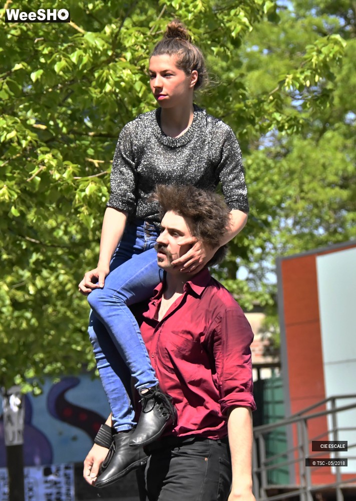 1/22 photos du spectacle Graffs de cirque