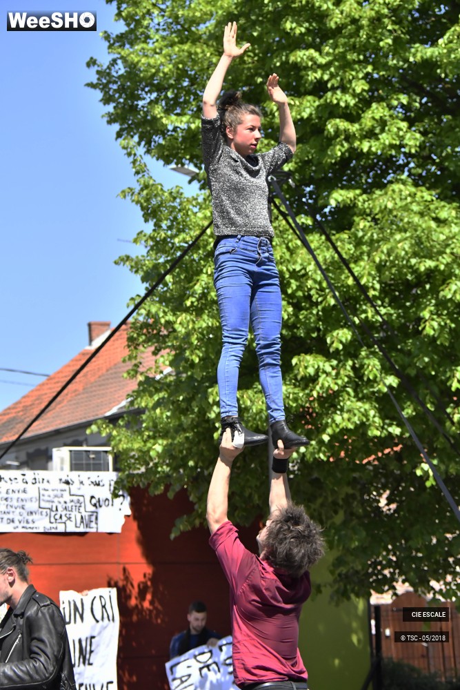 2/22 photos du spectacle Graffs de cirque