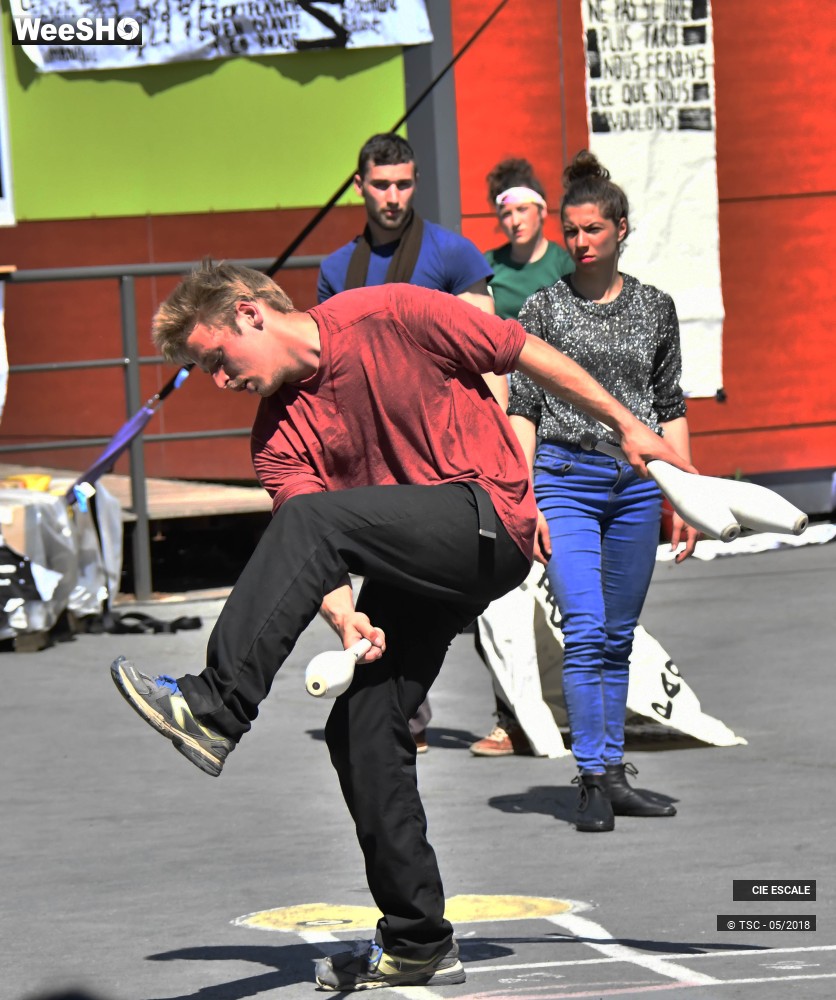 4/22 photos du spectacle Graffs de cirque