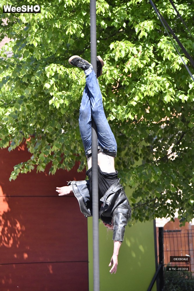 7/22 photos du spectacle Graffs de cirque