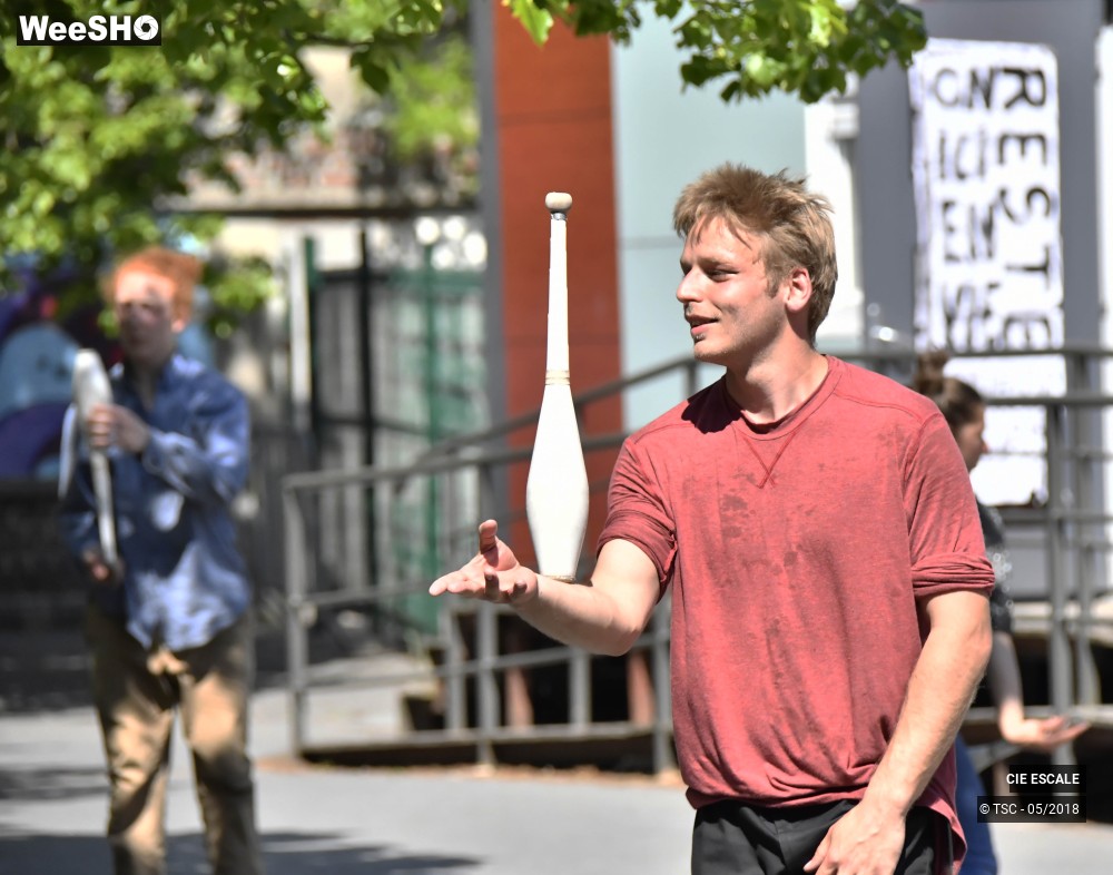 8/22 photos du spectacle Graffs de cirque