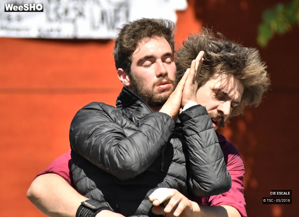 9/22 photos du spectacle Graffs de cirque