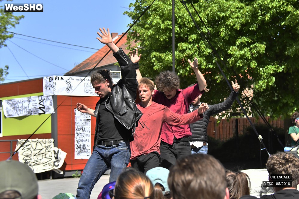 10/22 photos du spectacle Graffs de cirque