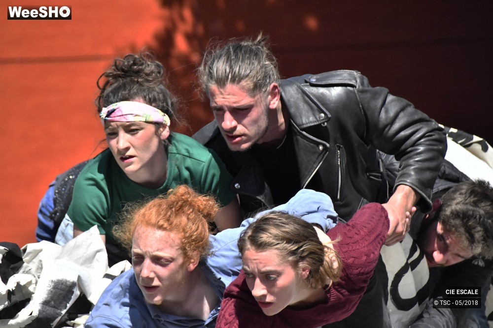 11/22 photos du spectacle Graffs de cirque