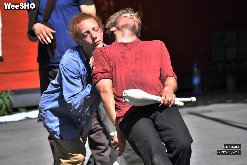 12/22 photos du spectacle Graffs de cirque