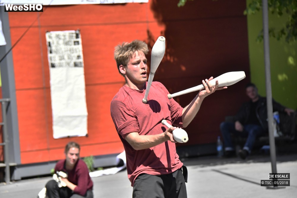 15/22 photos du spectacle Graffs de cirque