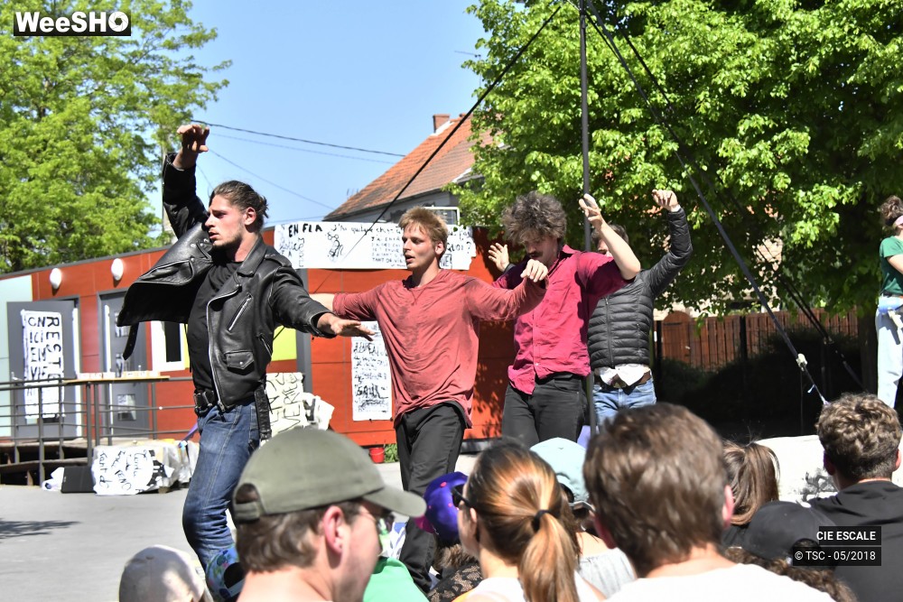 16/22 photos du spectacle Graffs de cirque