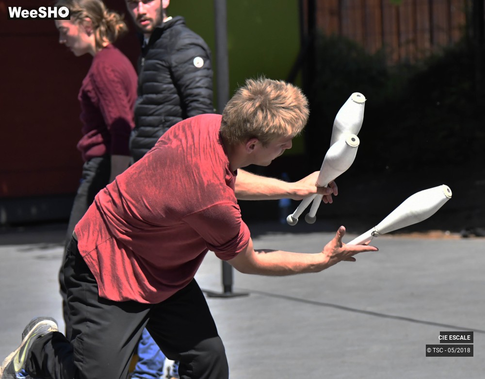 17/22 photos du spectacle Graffs de cirque