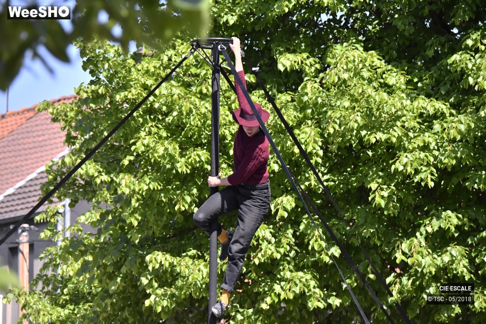 21/22 photos du spectacle Graffs de cirque