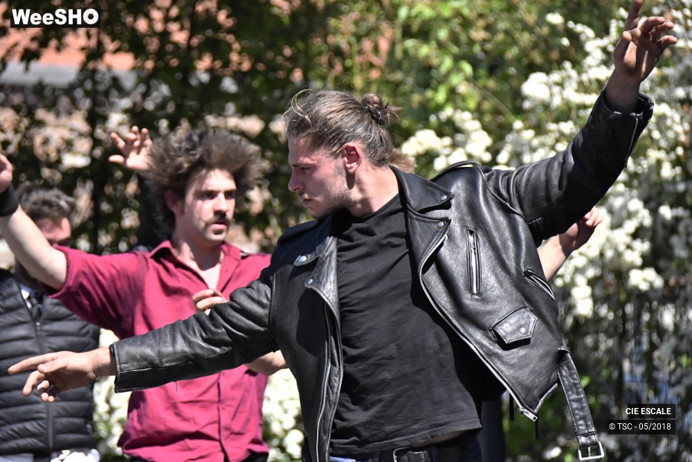 22/22 photos du spectacle Graffs de cirque