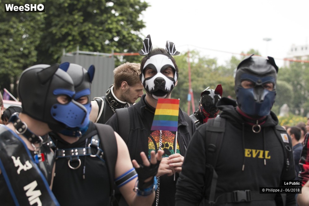 9/35 photos du spectacle Gay Pride 2018 #2