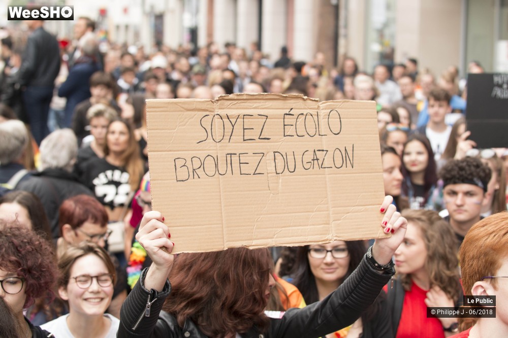 33/35 photos du spectacle Gay Pride 2018 #2