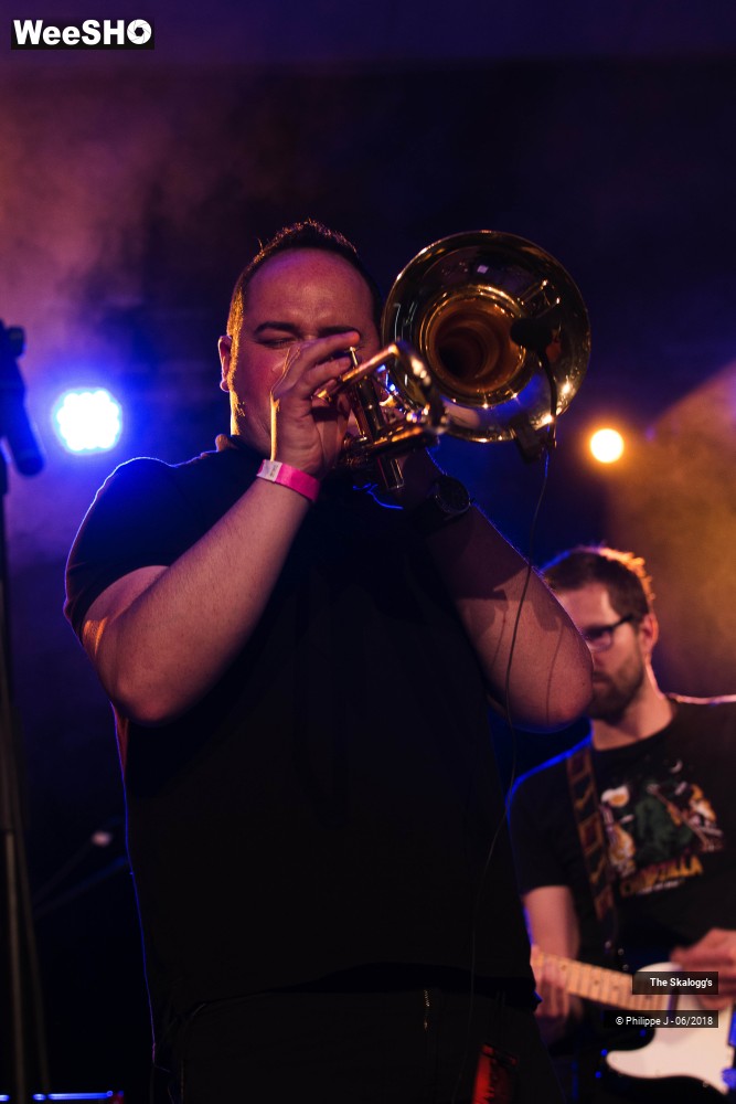 3/13 photos du spectacle The Skalogg's