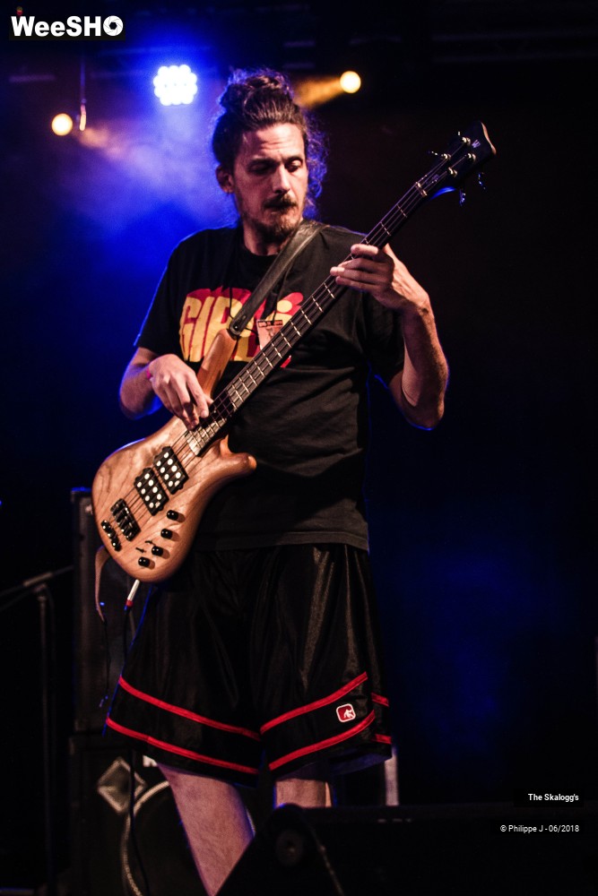 4/13 photos du spectacle The Skalogg's