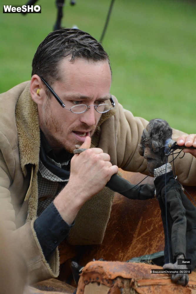 7/47 photos du spectacle Sherlock Holmes, son dernier coup d'archet