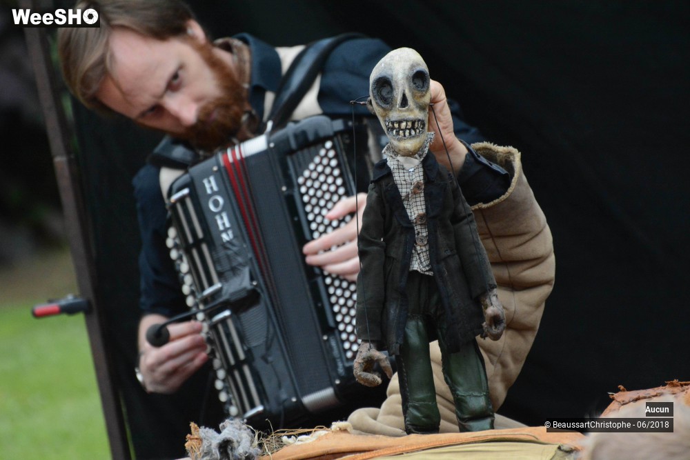 27/47 photos du spectacle Sherlock Holmes, son dernier coup d'archet