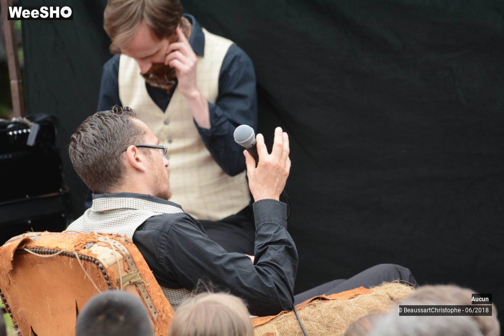 28/47 photos du spectacle Sherlock Holmes, son dernier coup d'archet