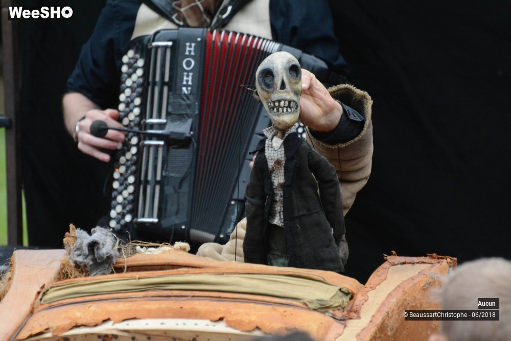 32/47 photos du spectacle Sherlock Holmes, son dernier coup d'archet