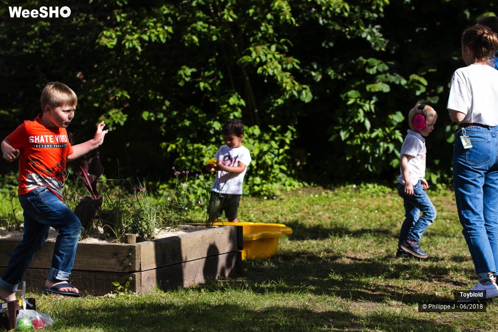 11/20 photos du spectacle Toybloïd