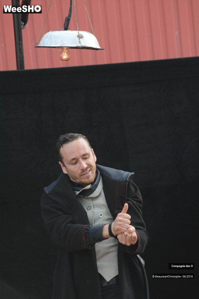 5/51 photos du spectacle Sherlock Holmes, son dernier coup d'archet