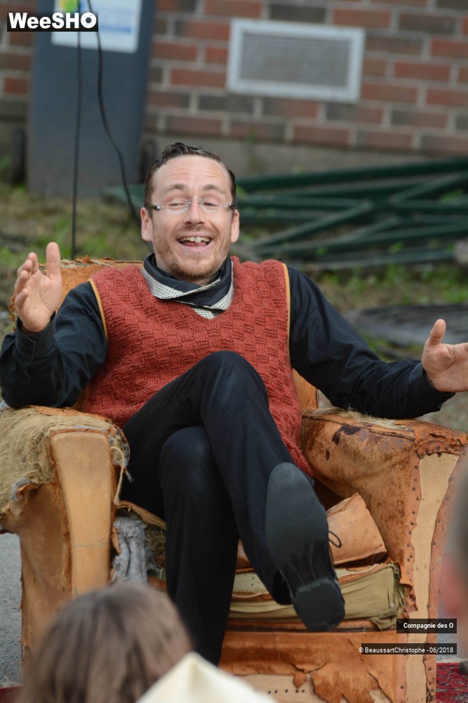 8/51 photos du spectacle Sherlock Holmes, son dernier coup d'archet