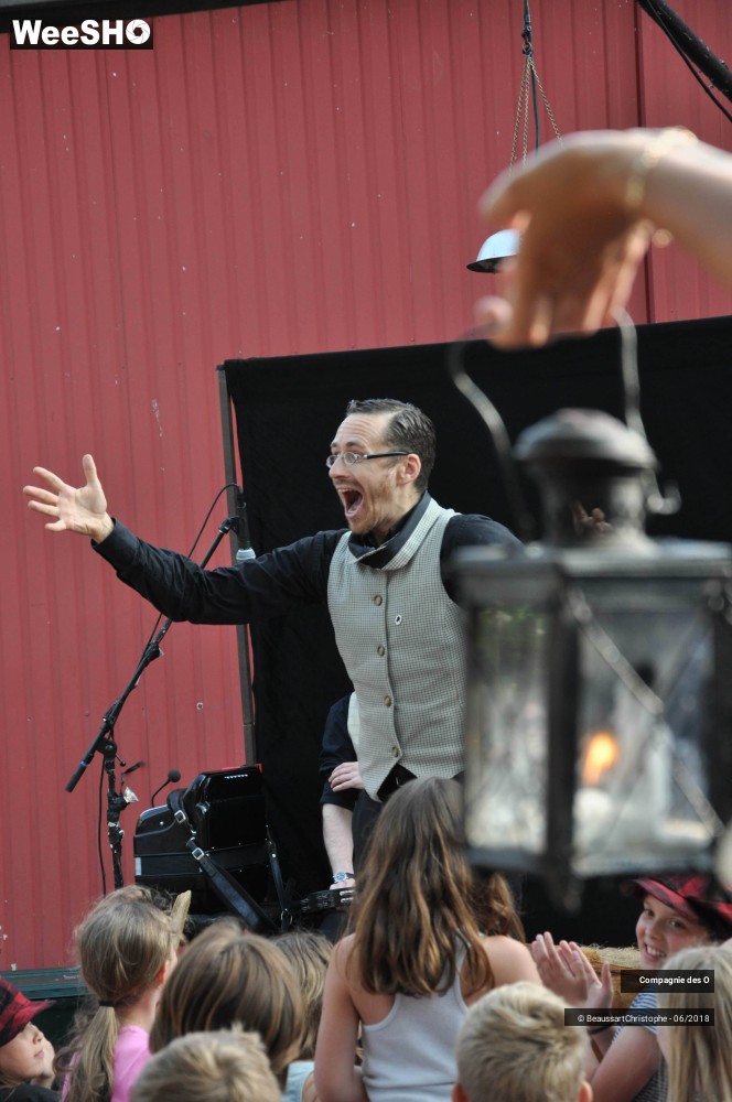 10/51 photos du spectacle Sherlock Holmes, son dernier coup d'archet