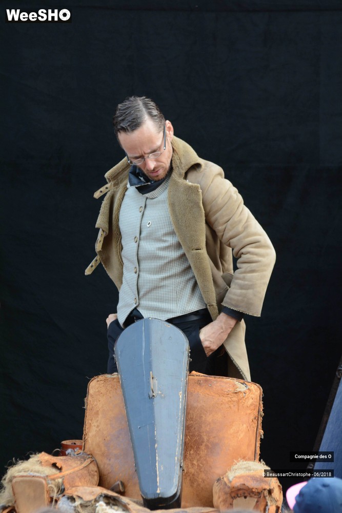 14/51 photos du spectacle Sherlock Holmes, son dernier coup d'archet