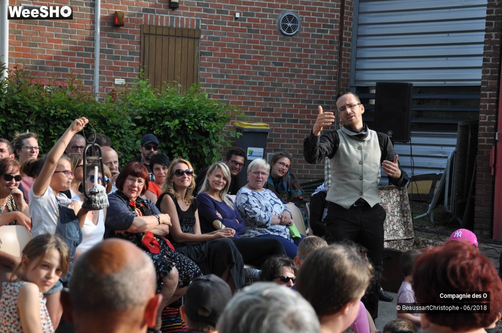 18/51 photos du spectacle Sherlock Holmes, son dernier coup d'archet