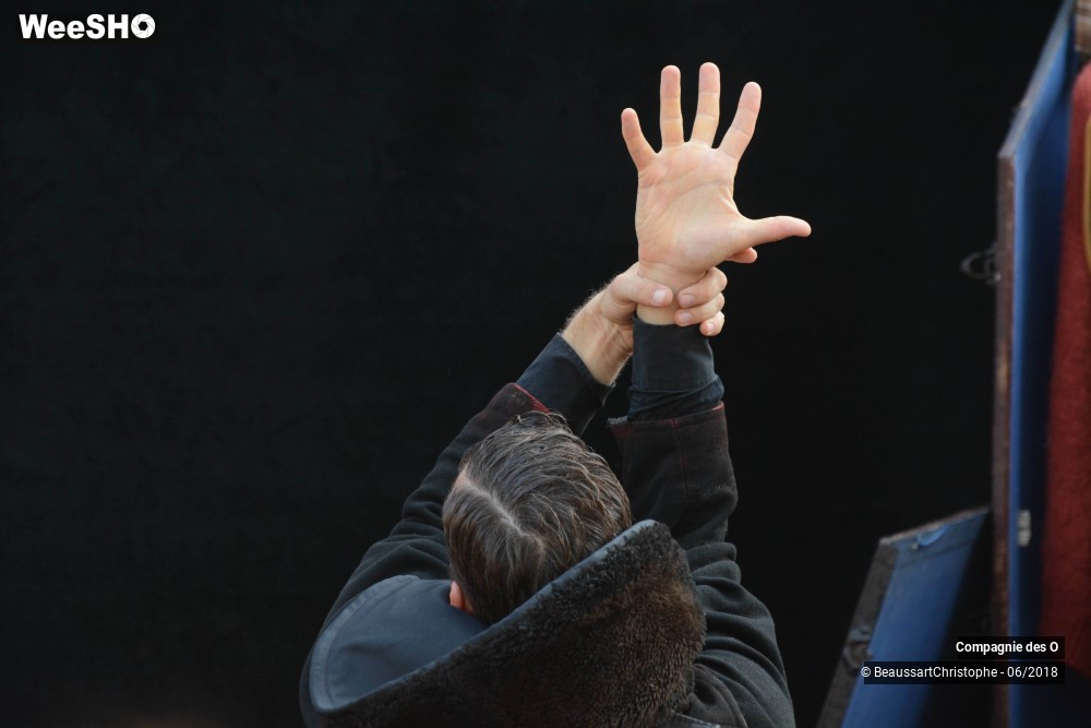 22/51 photos du spectacle Sherlock Holmes, son dernier coup d'archet