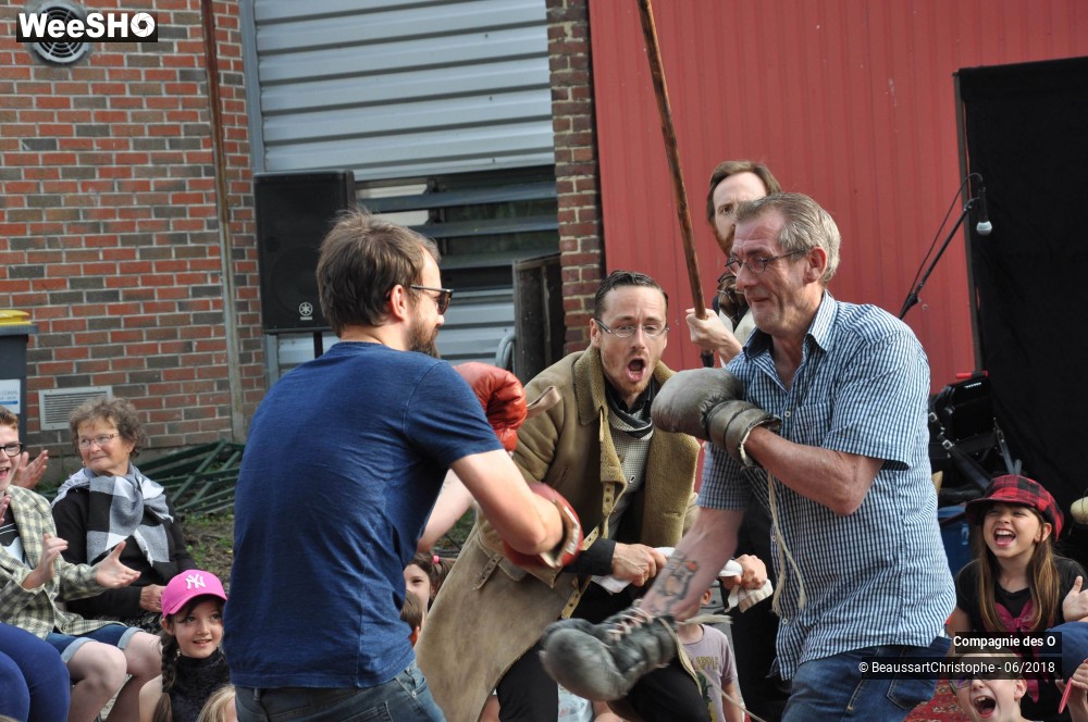 28/51 photos du spectacle Sherlock Holmes, son dernier coup d'archet