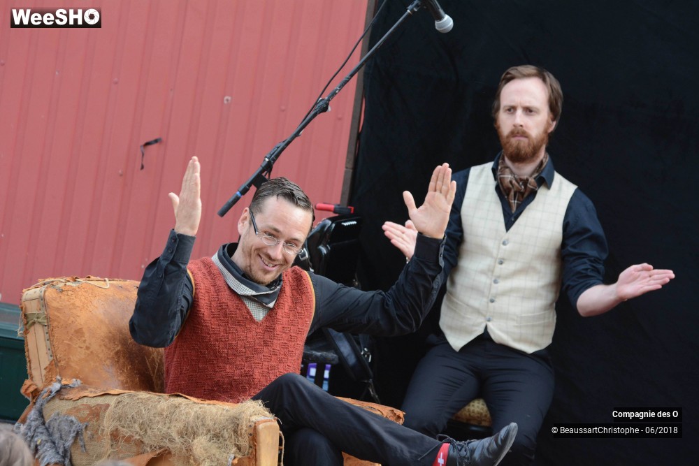 29/51 photos du spectacle Sherlock Holmes, son dernier coup d'archet