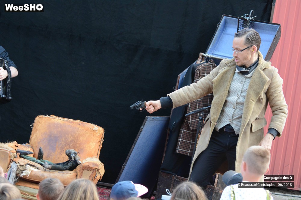 30/51 photos du spectacle Sherlock Holmes, son dernier coup d'archet