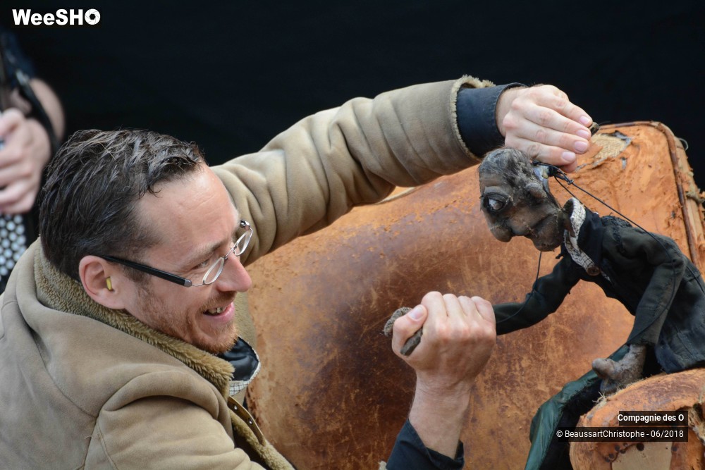 37/51 photos du spectacle Sherlock Holmes, son dernier coup d'archet