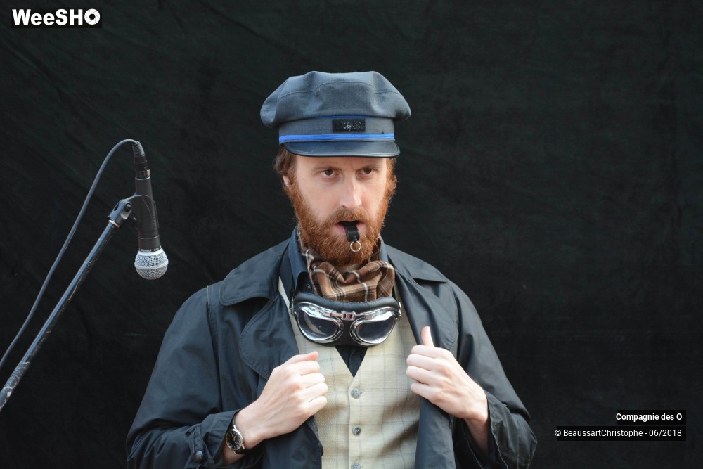 39/51 photos du spectacle Sherlock Holmes, son dernier coup d'archet