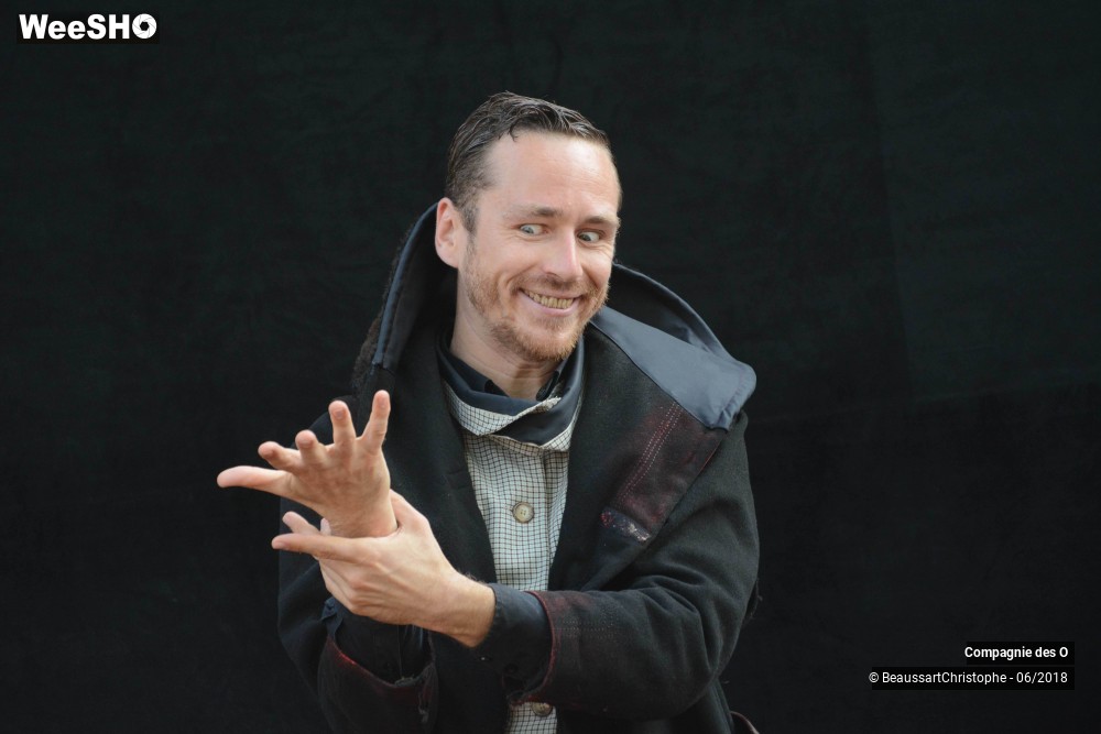 46/51 photos du spectacle Sherlock Holmes, son dernier coup d'archet