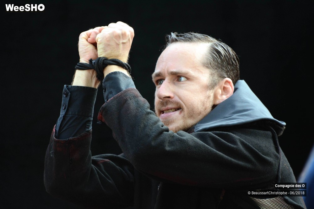 48/51 photos du spectacle Sherlock Holmes, son dernier coup d'archet