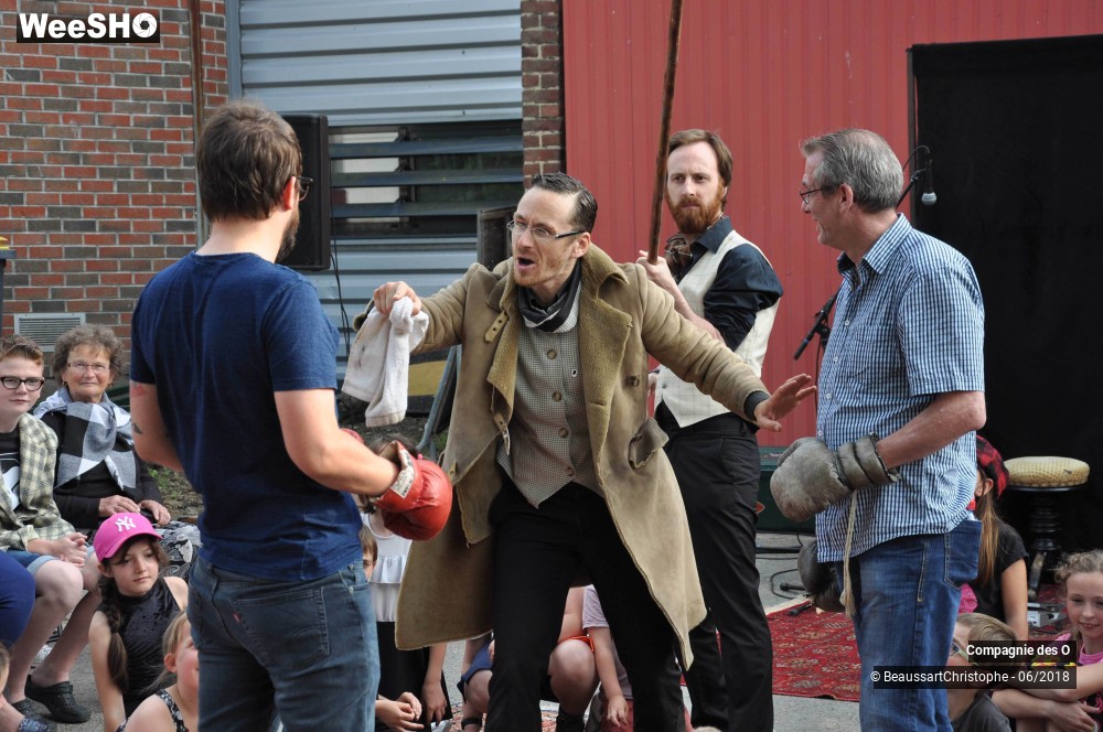 50/51 photos du spectacle Sherlock Holmes, son dernier coup d'archet