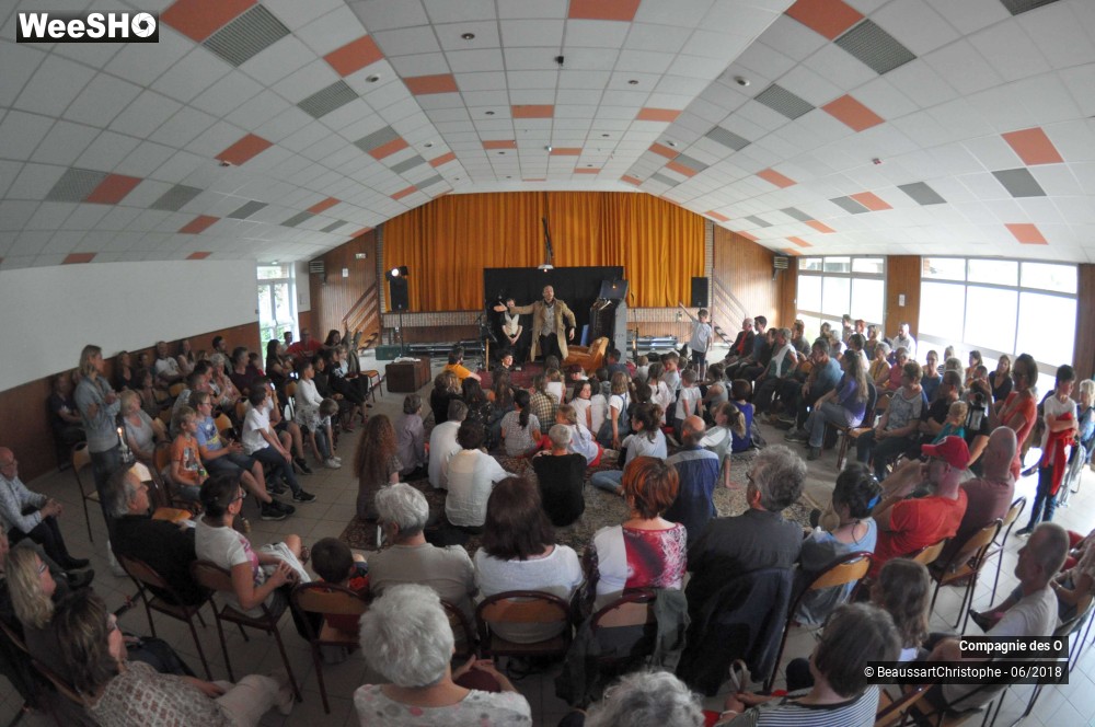 16/43 photos du spectacle Sherlock Holmes