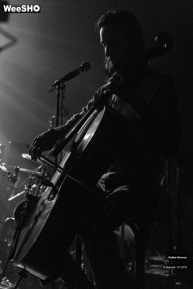 12/50 photos du spectacle Ondine Horseas - Concert Privé