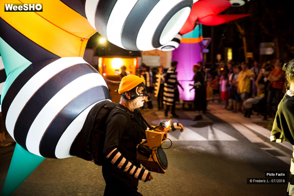 7/72 photos du spectacle Les Lampadophores