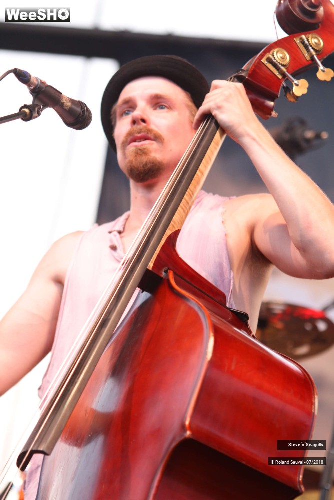 3/50 photos du spectacle Steve'n'Seagulls.