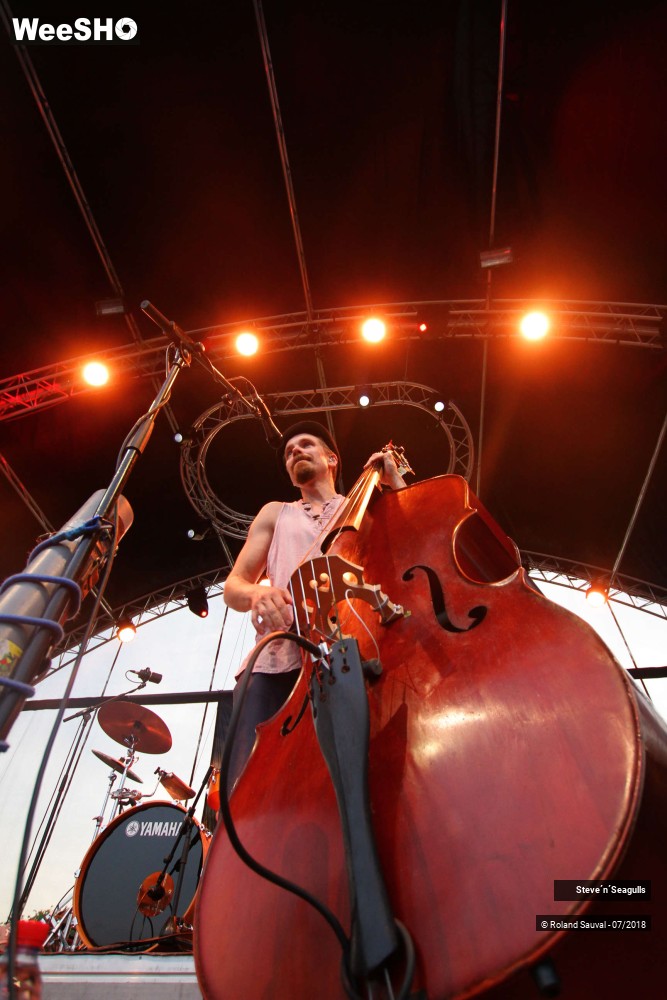 5/50 photos du spectacle Steve'n'Seagulls.