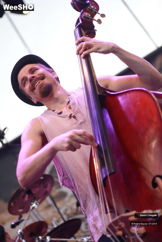 7/50 photos du spectacle Steve'n'Seagulls.