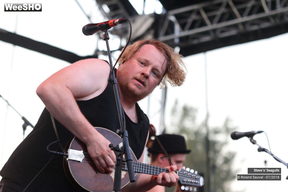11/50 photos du spectacle Steve'n'Seagulls.