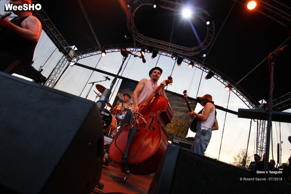 16/50 photos du spectacle Steve'n'Seagulls.