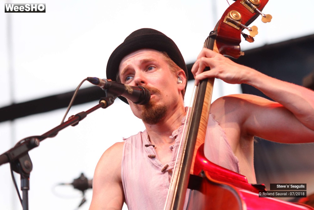 20/50 photos du spectacle Steve'n'Seagulls.